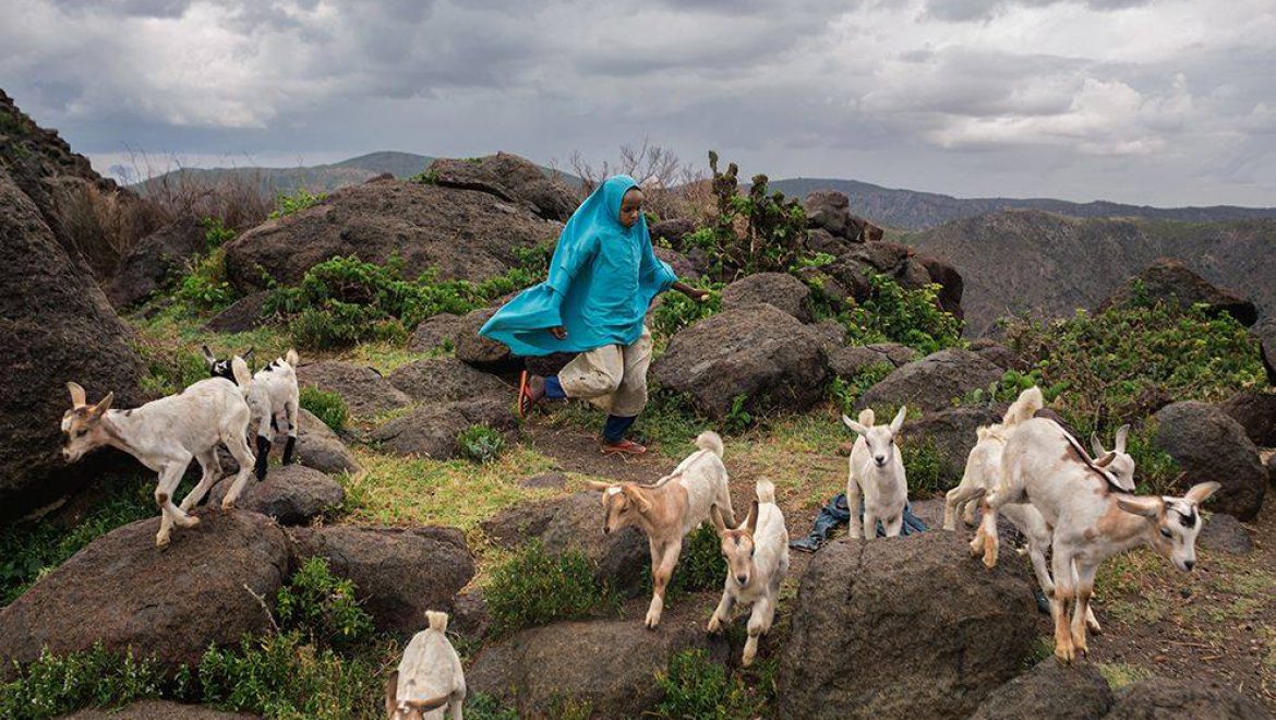 חייה של אשתור גארה , הילדה הרועה מסומליה
